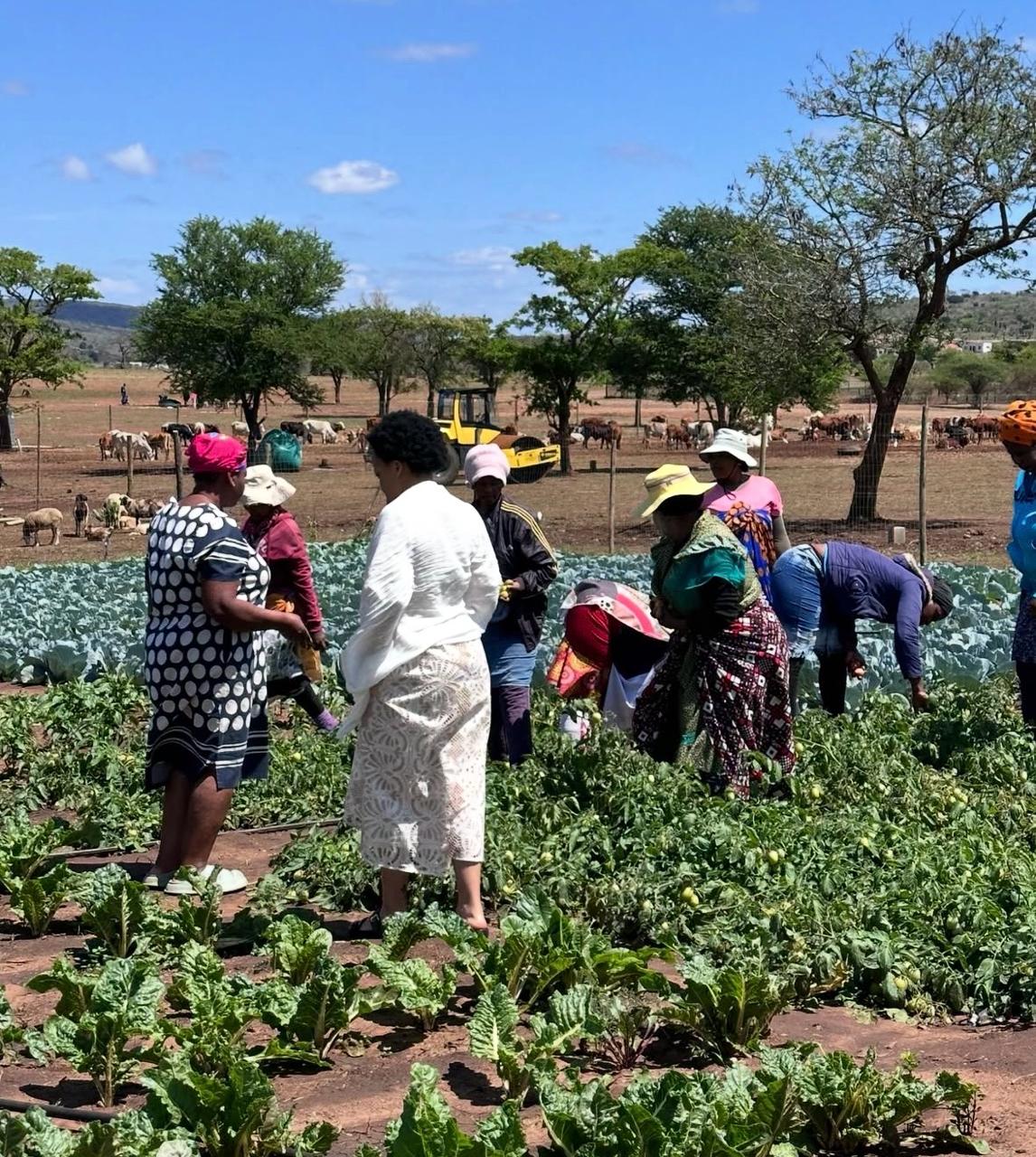 Food Security